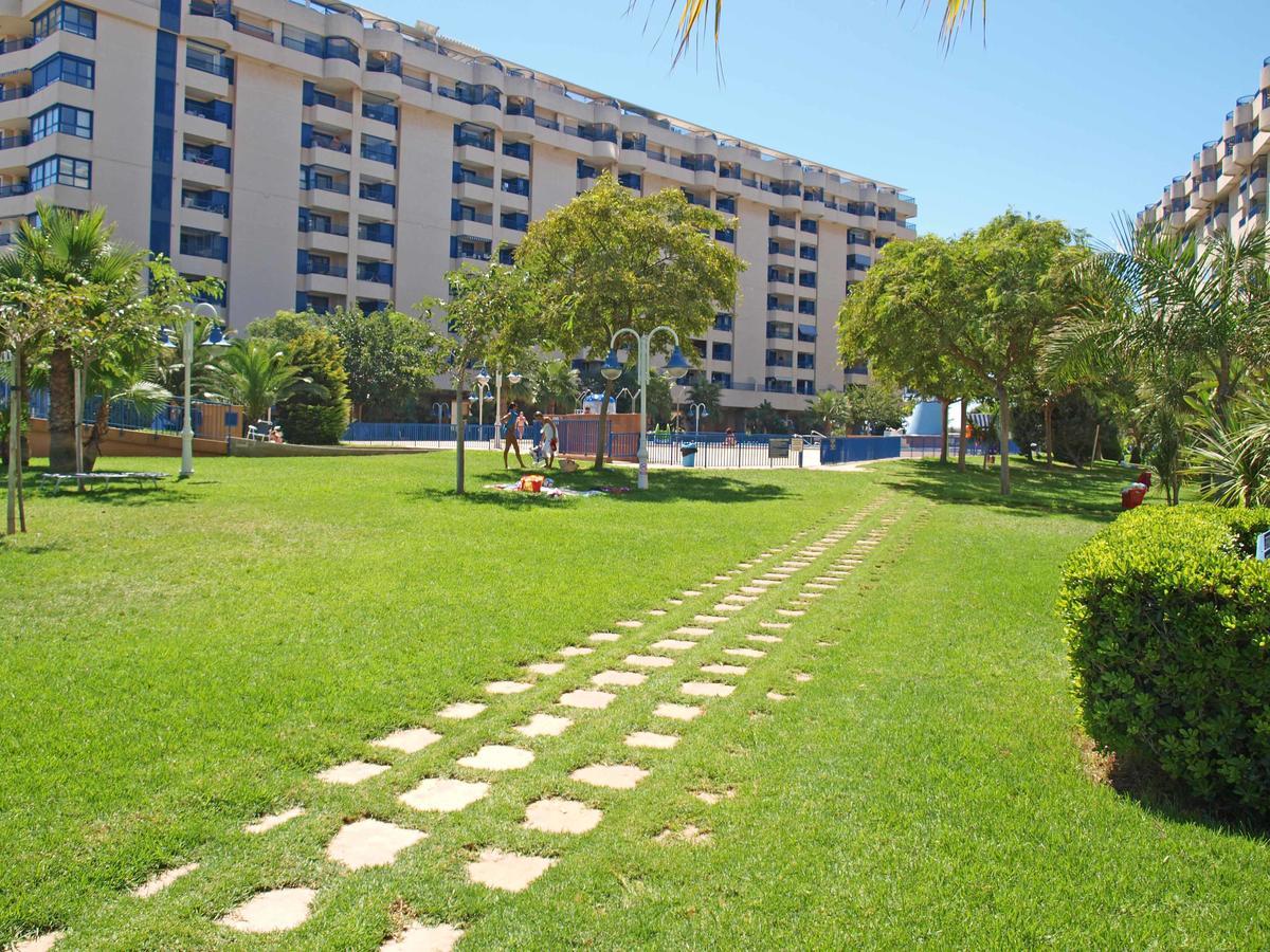 Apartup Patacona Orchard Views فالنسيا المظهر الخارجي الصورة